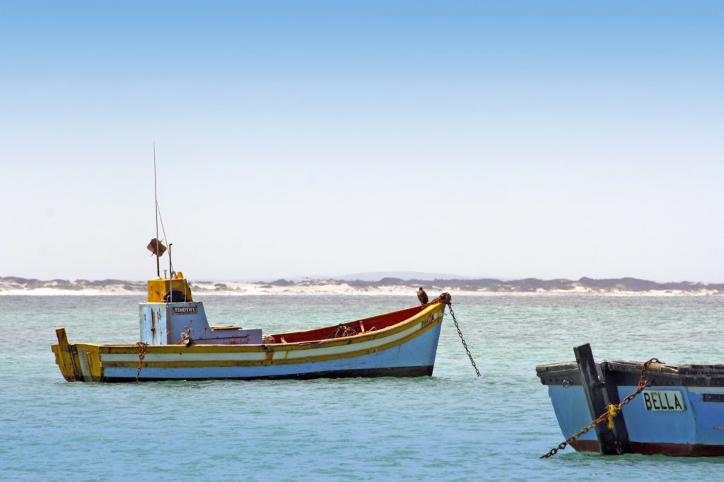 Boot auf dem Meer in Südafrika
