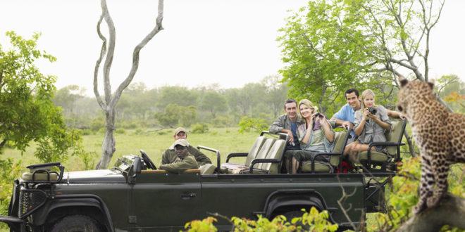 Jeep Safari im Krüger Nationalpark